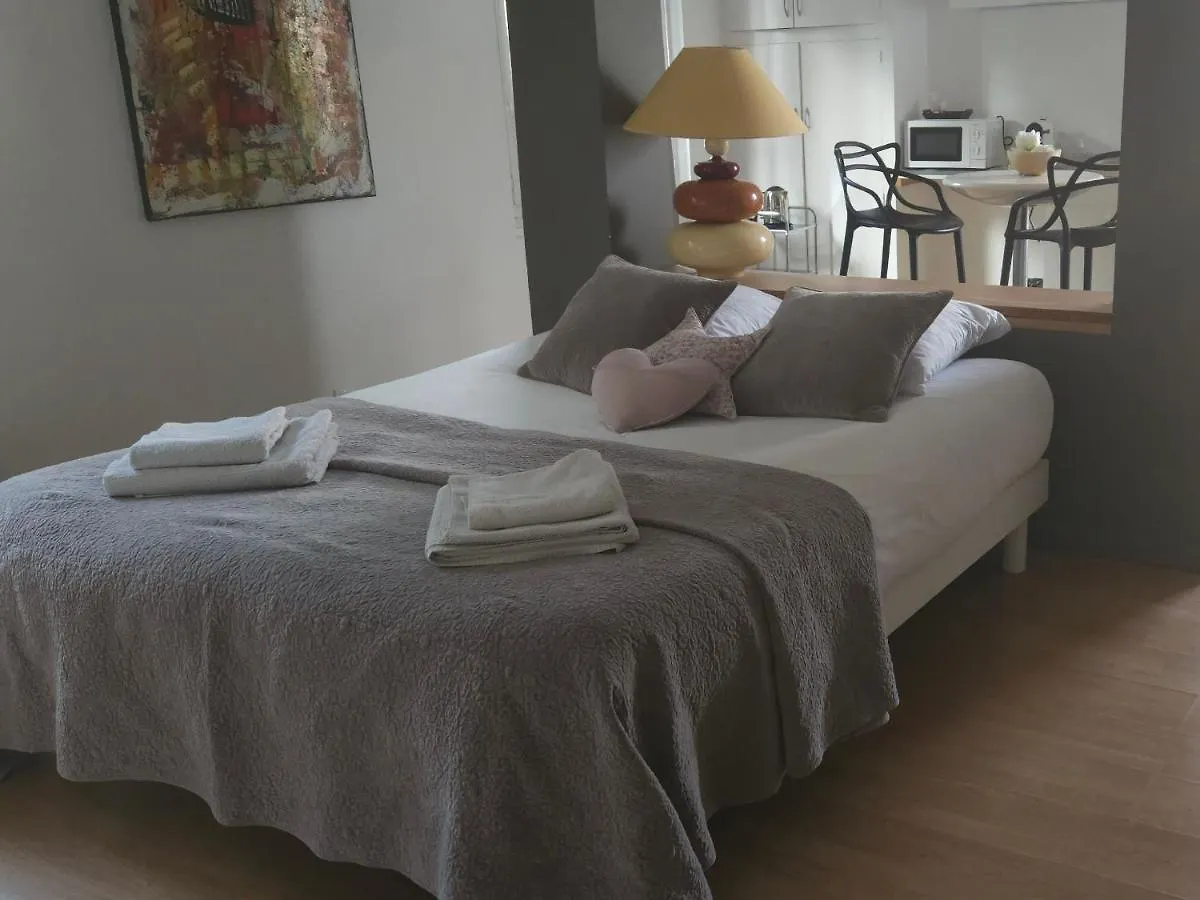 Studio Piscine Apartment Villeurbanne