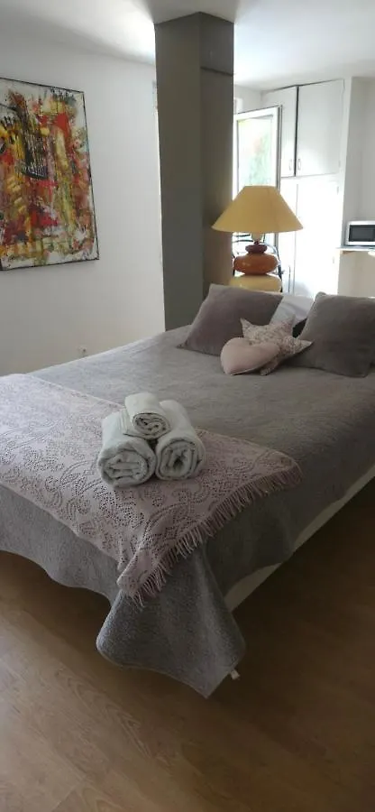 Studio Piscine Apartment Villeurbanne France