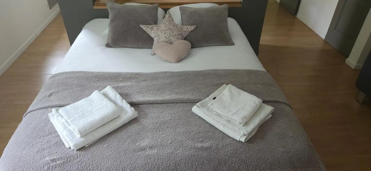 Studio Piscine Apartment Villeurbanne France